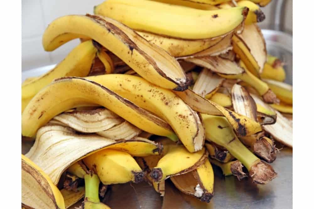 Are Banana Peels Good for Plants?