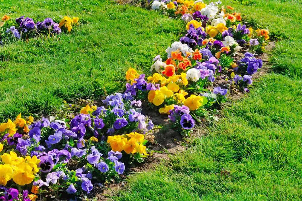 Do You Need Edging For Flower Beds?