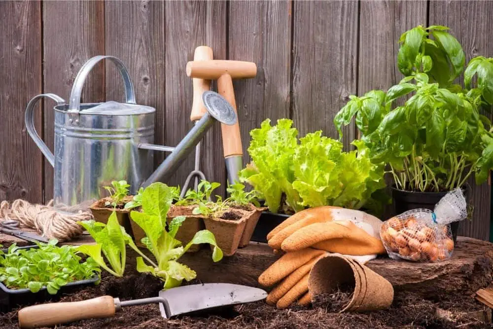 How do you store garden tools outside