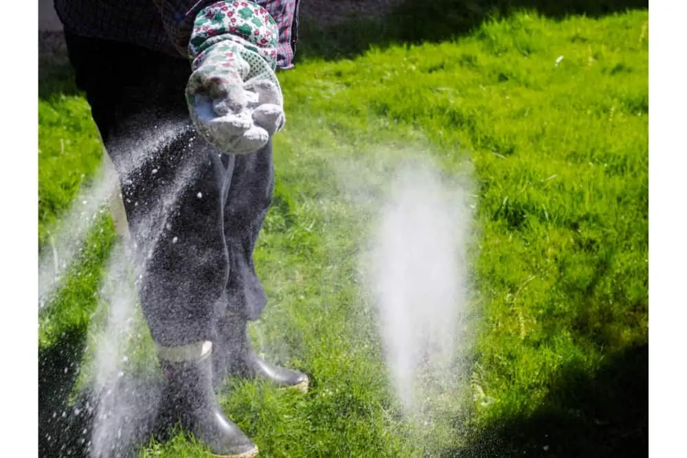 How Often Should You Apply Fertilizer To Your Lawn?