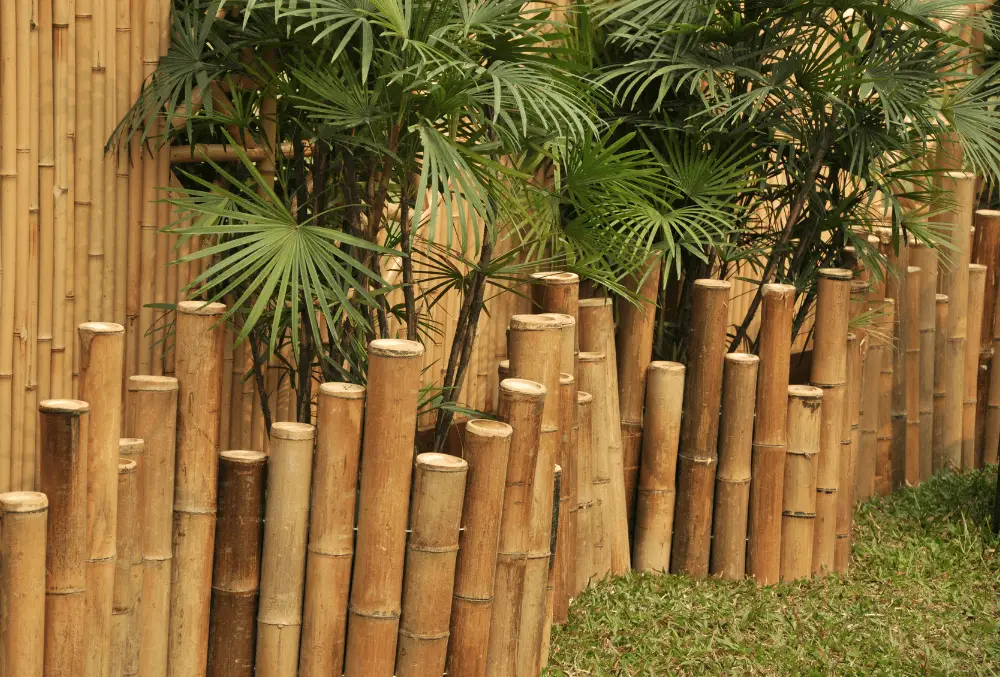 10 Awesome Bamboo Backyard Ideas