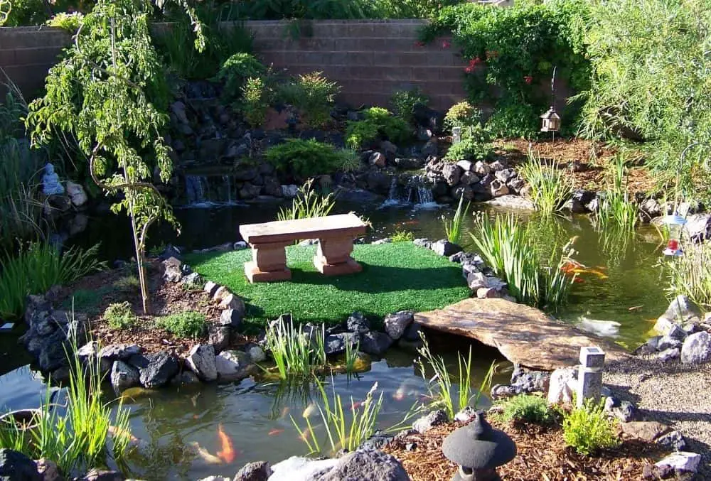 6 Awesome Backyard Koi Pond Ideas